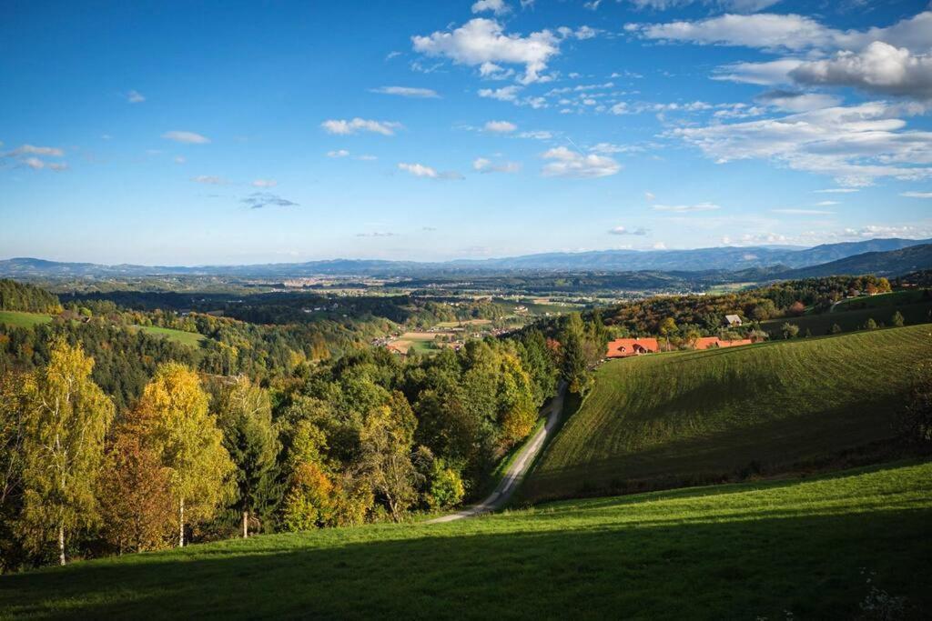 Chalet-Suedsteiermark - Traumhafte Aussicht, Infinity Pool, Privatsphaere, Klima Und De-Luxe Ausstattung Schwanberg Экстерьер фото